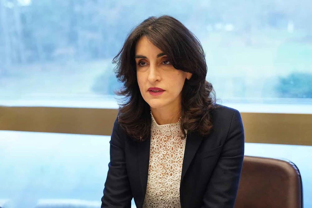 მაკა ბოჭორიშვილი პიტერ სიარტოს მიწვევით უნგრეთის ამბასადორიალში მიიღებს მონაწილეობას