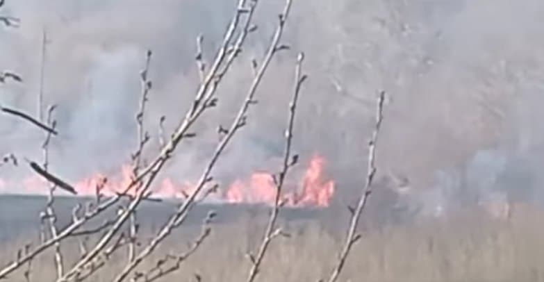 თამარ ბელქანია – წალენჯიხაში 25 სხვადასხვა ლოკაციაზეა ხანძარი, საჩინოში ცეცხლი დასახლებულ პუნქტს უახლოვდება