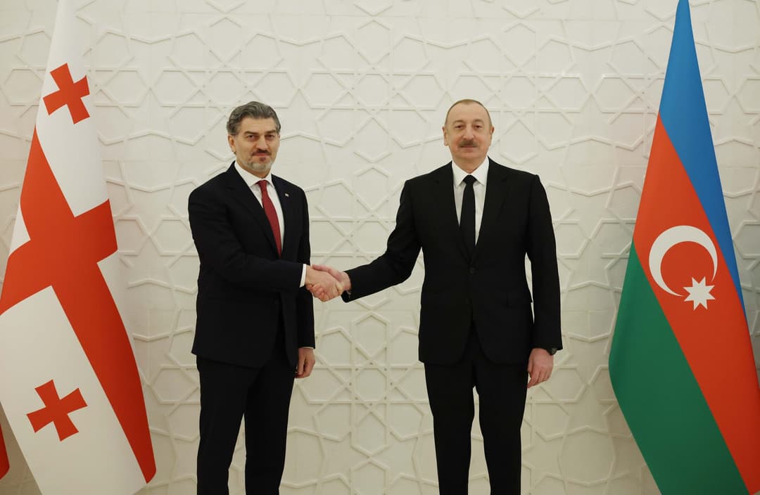 მიხეილ ყაველაშვილი ილჰამ ალიევს შეხვდა