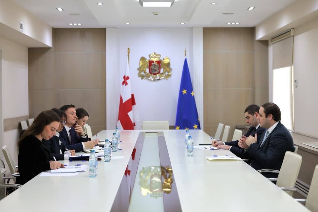 ლევან ჟორჟოლიანი გაეროს განვითარების კოორდინაციის პროგრამის რეგიონულ დირექტორს შეხვდა