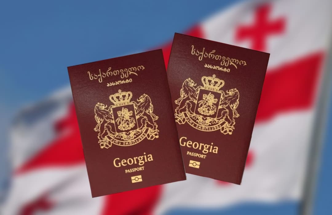 Over 2,300 Russians granted Georgian citizenship in 2024, official data reveals
