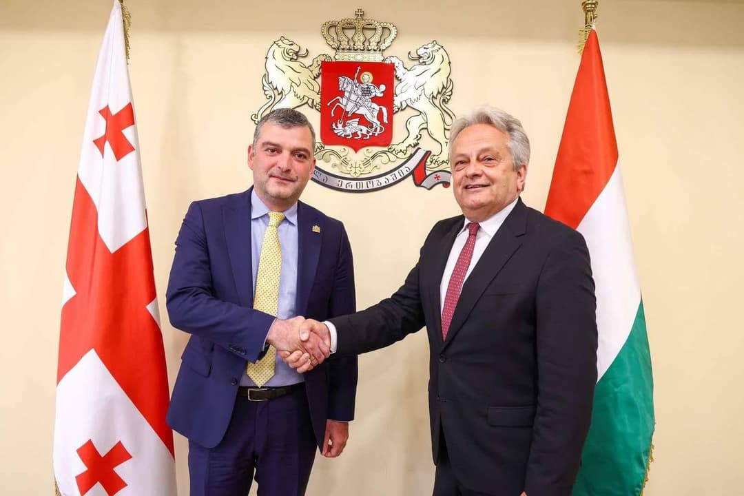 თავდაცვის მინისტრის პირველი მოადგილე უნგრელ კოლეგას შეხვდა