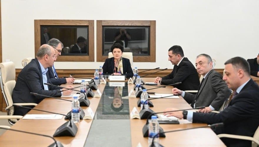 თეა წულუკიანი – თქვენ თუ აქ ხართ არაღიარებული ორგანოს წინაშე, მაშინ პოლიტიკურად სერიოზულად რაღაცების გაგების პრობლემები გაქვთ