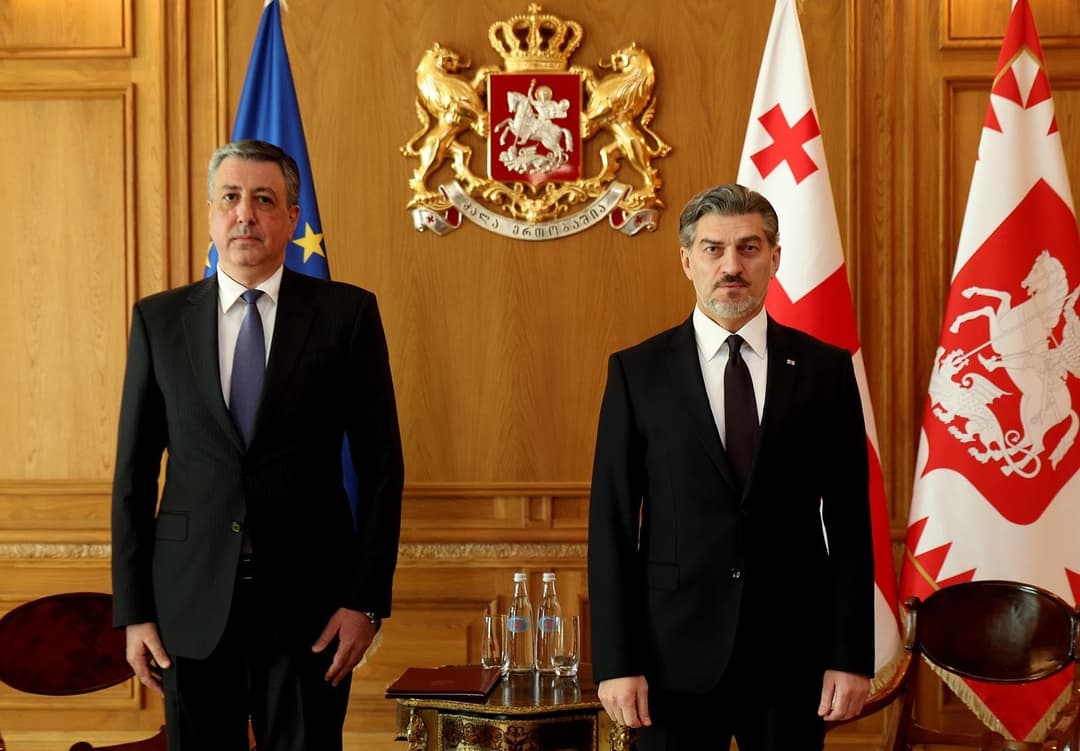 Georgian President meets Azerbaijani Ambassador for introductory meeting