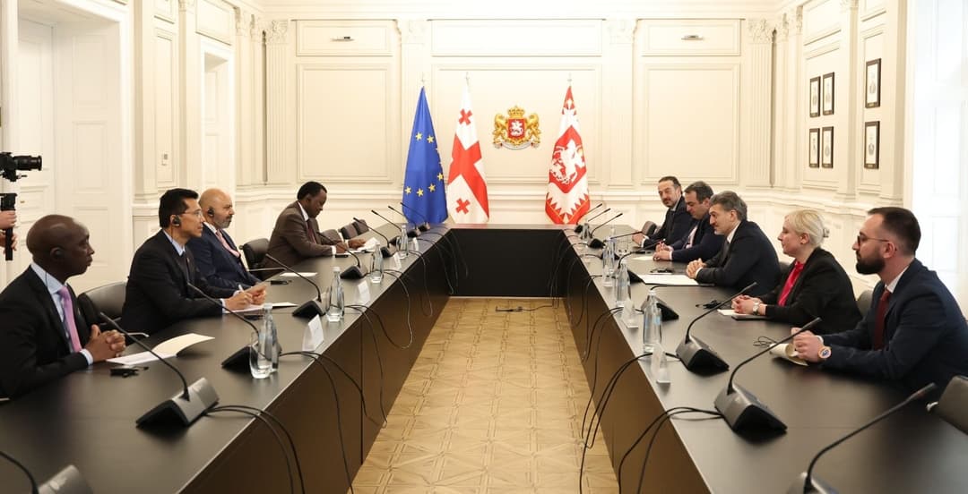 Georgian President hosts ambassadors accredited to UN