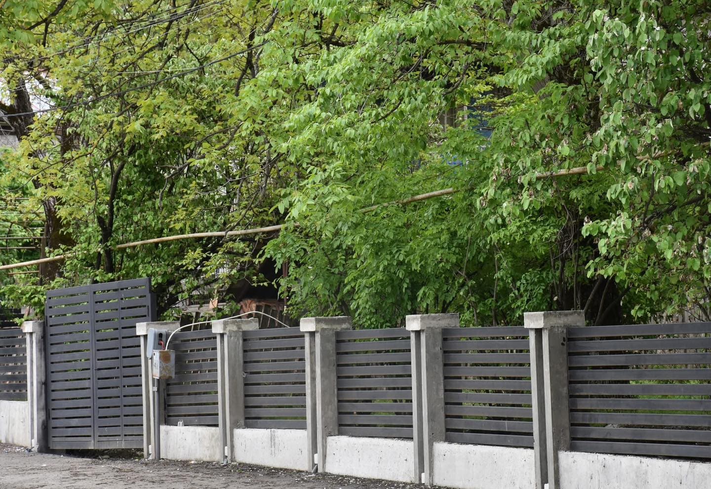 <p style="text-align: justify">დაბა ახალდაბაში, ბორჯომის ქუჩაზე ცენტრალურ გზაზე მდებარე ღობეების რეაბილიტაცია დასრულდა.</p><p style="text-align: justify">მუნიციპალიტეტის მერიის ინფორმაციით, პროექტი ფარგლებში, რეაბილიტირდა ღობეები და ჭიშკრები, ასევე მოეწყო გარე განათების სისტემა და შიდა საუბნო გზა.</p><p style="text-align: justify">სამუშაოები მუნიციპალური განვითარების ფონდისა და ადგილობრივი ბიუჯეტის თანადაფინანსებით განხორციელდა.</p><p style="text-align: justify">ბორჯომის მუნიციპალიტეტში სხვადასხვა საკურორტო სოფლებში და დაბებში ინფრასტრუქტურის მოწყობა ინტენსიურ რეჟიმში მიმდინარეობს.</p>