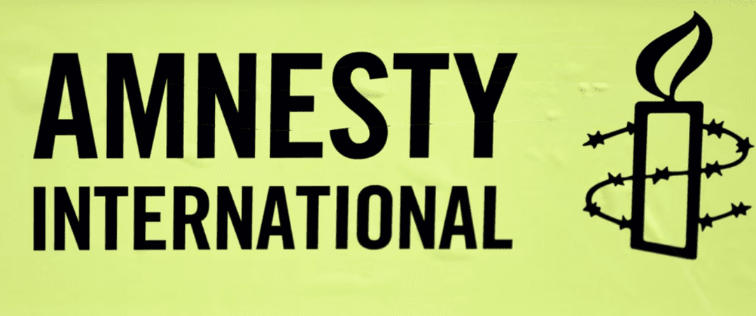 Russia declares Amnesty International's activities ‘undesirable’