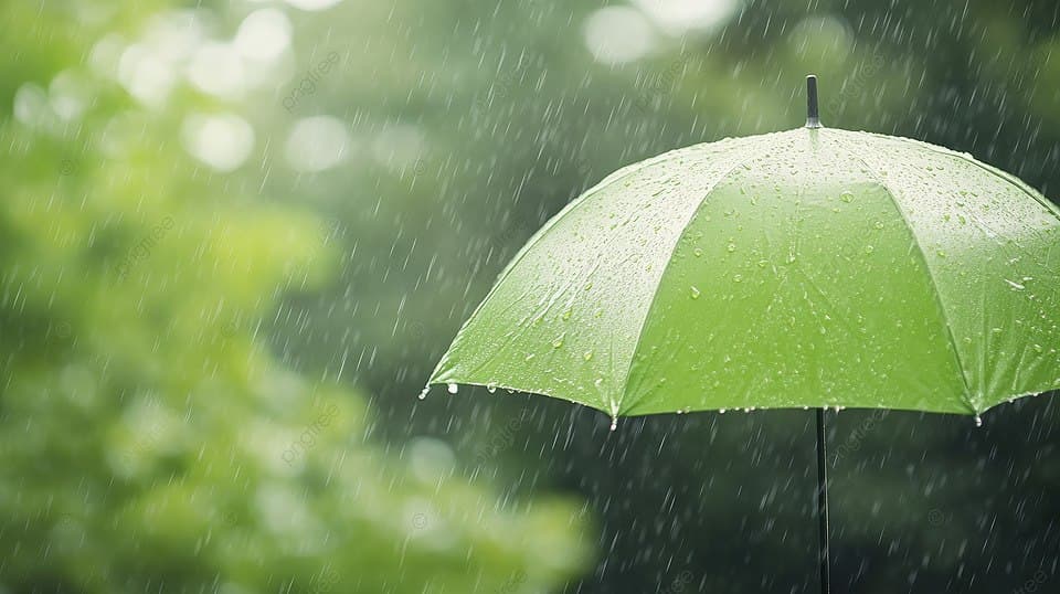 5 მაისამდე მოსალოდნელი ამინდი საქართველოში