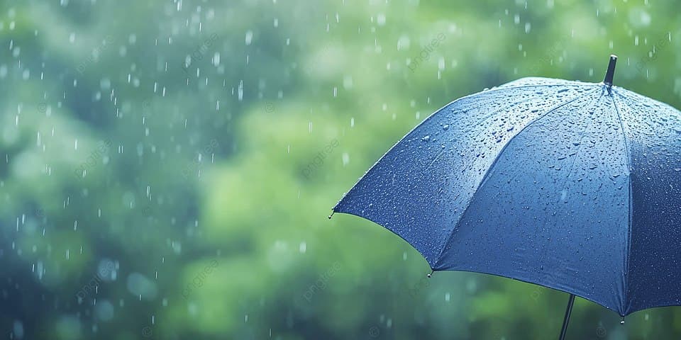 10-14 მაისს მოსალოდნელი ამინდი საქართველოში