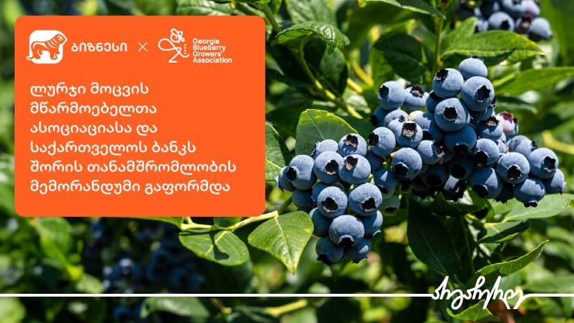 ლურჯი მოცვის მწარმოებელთა ასოციაციასა და "საქართველოს ბანკს" შორის თანამშრომლობის მემორანდუმი გაფორმდა