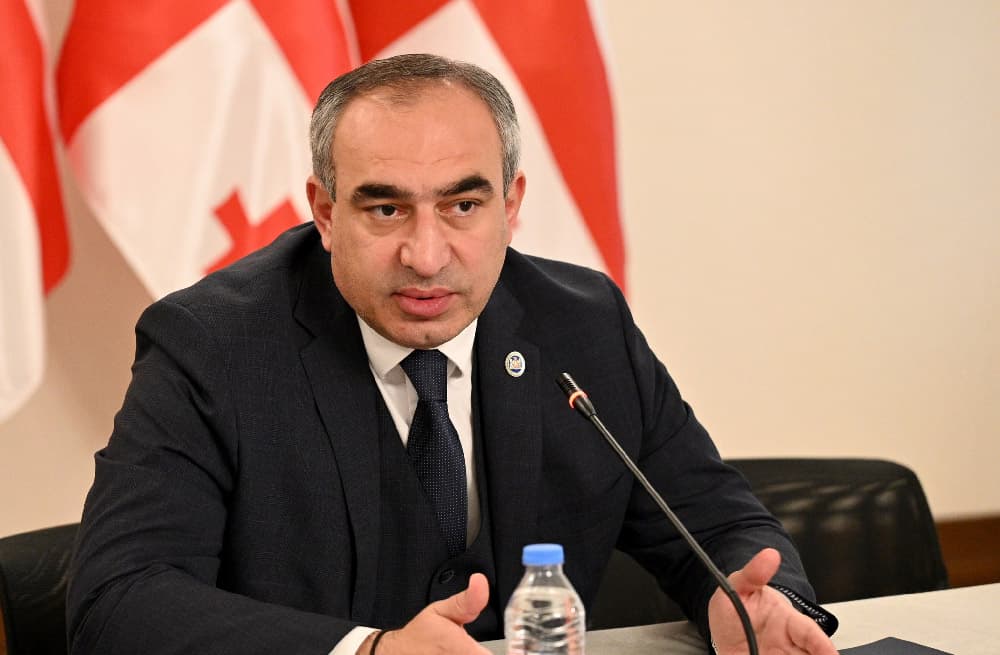 ვლადიმერ ბოჟაძე - უნდა დაველოდოთ, რა გადაწყვეტილებას მიიღებენ სენატი და პრეზიდენტი, იმედს ვიტოვებთ, "მეგობარი აქტი“ კანონად არ იქცევა