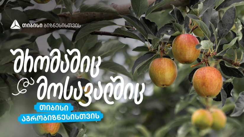 თიბისი აგრობიზნესისთვის - "ჭარებულას“ ვაშლის ბაღები ქართლში