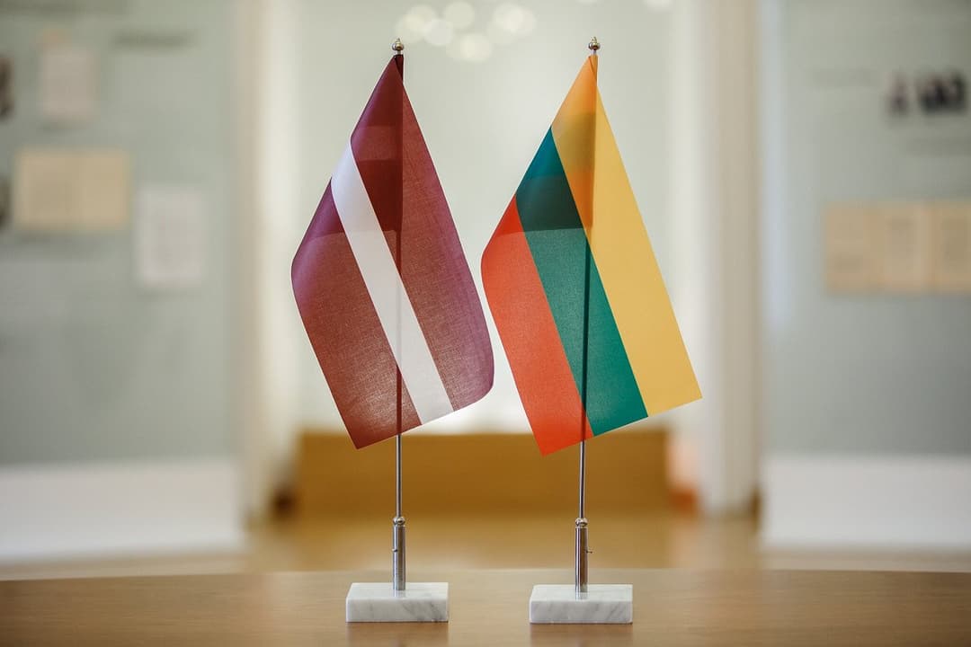 Latvia and Lithuania "deeply concerned" about detention of Georgian opposition leader