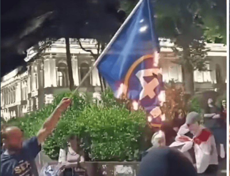 Georgian activist detained after burning ruling party flag at protest