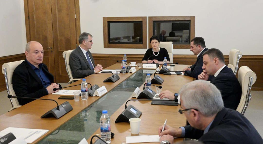 დროებითმა საგამოძიებო კომისიამ დღეს ნონა ყაულაშვილი, სიმონ გასვიანი, თორნიკე გერლიანი და ფრიდონ ზოიძე გამოჰკითხა