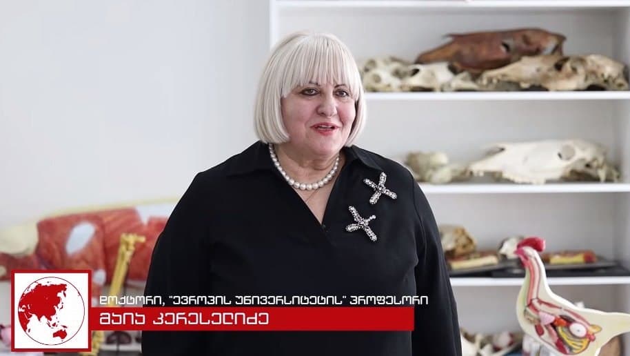 <p><strong><em>Front News – საქართველო</em></strong><em> </em>წარმოგიდგენთ რუბრიკას “ადამიანები ისტორიით“, სადაც მოგიყვებით განსაკუთრებული ადამიანების შესახებ, მათზე, ვინც ცხოვრებას მეცნიერებას, ხელოვნებას და საზოგადოებას უძღვნის.</p><p><strong><em>მაია კერესელიძე</em></strong> – ვეტერინარიის დარგში მოღვაწე მეცნიერი და “ევროპის უნივერსიტეტის“ ვეტერინარიის ფაკულტეტის დეკანის მოვალეობის შემსრულებელი, ერთ-ერთია იმ სამი ქალიდან საქართველოში, ვინც ვეტერინარიის დოქტორია. მისთვის მეცნიერება არ არის მხოლოდ პროფესია, ეს არის ყოველდღიურობა.</p><p>მაია კერესელიძე აქტიურად ჩართულია მრავალმხრივ სამეცნიერო საქმიანობაში: სხვადასხვა კვლევაში, რომლებიც ვეტერინარიის სფეროს ავითარებს და მას უფრო ხელშესახებ, პრაქტიკულ და თანამედროვე საფუძვლებზე აყვანის შესაძლებლობას აძლევს. მისი მოღვაწეობა განსაკუთრებით მნიშვნელოვანია იმ პირობებში, როდესაც ვეტერინარია, როგორც დარგი კვლავ ჩამოყალიბების პროცესშია და საჭიროებს მუდმივ მეცნიერულ განმტკიცებას.</p><p>მეცნიერების გარდა, მაია კერესელიძის ცხოვრება სევდით არის გაჯერებული – რამდენიმე წლის წინ ის პირისპირ შეხვდა ყველაზე დიდ ტკივილს. ავტოსაგზაო შემთხვევამ მას 18 წლის ვაჟი წაართვა. ტრაგედიამ დროებით შეაჩერა მისი სამეცნიერო და აკადემიური მოღვაწეობა, მაგრამ საბოლოოდ სწორედ ამ ტკივილმა მისცა ძალა, ცხოვრების აზრი თავიდან ეპოვა.</p><p>“თავდაპირველად არ მქონდა ძალა, რამე გამეგრძელებინა… მეც ვიფიქრე, რომ ჩემი კარიერა და მეცნიერული გზაც იქ დასრულდებოდა, იმ ტრაგედიასთან ერთად, მაგრამ როცა სტუდენტები, მეგობრები ჩემს გვერდით დადგნენ, მივხვდი — მათთვის, ჩემი შვილის ხსოვნისთვის, არ მქონდა უფლება, გამეჩერებინა ყველაფერი”, – აცხადებს მაია კერესელიძე.</p><p>მან თავისი შვილის ხსოვნა მეცნიერებასა და ახალ თაობაზე ზრუნვაში გადაიტანა. დღეს მისი სტუდენტები ხშირად აღნიშნავენ, რომ სწორედ მისი ემპათია, სითბო და პროფესიული ცოდნა აძლევთ სტიმულს და მოტივაციას.</p><p>მიუხედავად ამ ტკივილისა, მაია კერესელიძის ცხოვრებაში არის ნათელი მომენტებიც – მას ჰყავს ქალიშვილი ანა ჭულუხაძე, რომელიც წარმატებული ექიმი ენდოკრინოლოგია. ის, დედის მსგავსად, თავისი სფეროს პროფესიონალია და უკვე ჩამოყალიბებული სახელი აქვს ქართულ სამედიცინო საზოგადოებაში. დედა-შვილი ერთად ქმნიან ოჯახს, სადაც პროფესია ადამიანებზე ზრუნვას ნიშნავს – ერთი მათგანი ამას ადამიანებში ეძებს, მეორე კი – ცხოველებში.</p><p>მაია კერესელიძისთვის ვეტერინარია მხოლოდ ცხოველთა სამკურნალო პრაქტიკა არ არის. მისთვის ეს არის სფერო, რომელიც სიღრმისეულ კვლევას მოითხოვს როგორც ინფექციური დაავადებების, ისე ცხოველთა კვებისა და ჯიშობრივი მახასიათებლების დონეზე. სწორედ ამიტომ იგი მუდმივად მუშაობს ქართულ და საერთაშორისო სამეცნიერო ბაზებთან თანამშრომლობით. მისი კვლევები ხშირად ხდება პრაქტიკაში დანერგვის საფუძველი, რაც უდიდესი გამარჯვებაა მეცნიერისთვის.</p><p>“ადამიანები ისტორიით” რუბრიკა სწორედ ასეთ ადამიანებს ეძღვნება, მათ, ვინც შიდა ძალით, ღირსებითა და შეუპოვრობით აგრძელებს გზას. მაია კერესელიძე მათ შორის ერთ-ერთი გამორჩეულია – ქალი, რომელმაც შვილის ხსოვნა მეცნიერებად აქცია.</p><p></p>