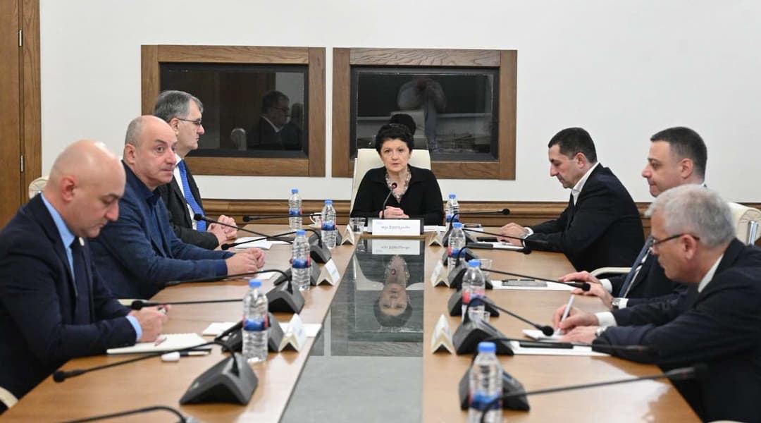 Vice Speaker Tsulukiani questions ex-Pres Saakashvili’s hospital stay amid parliamentary probe