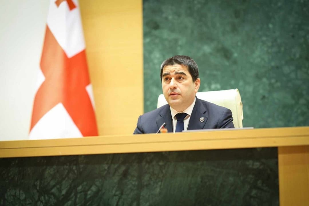 Georgian Parliament to issue statement on US MEGOBARI Act, Speaker