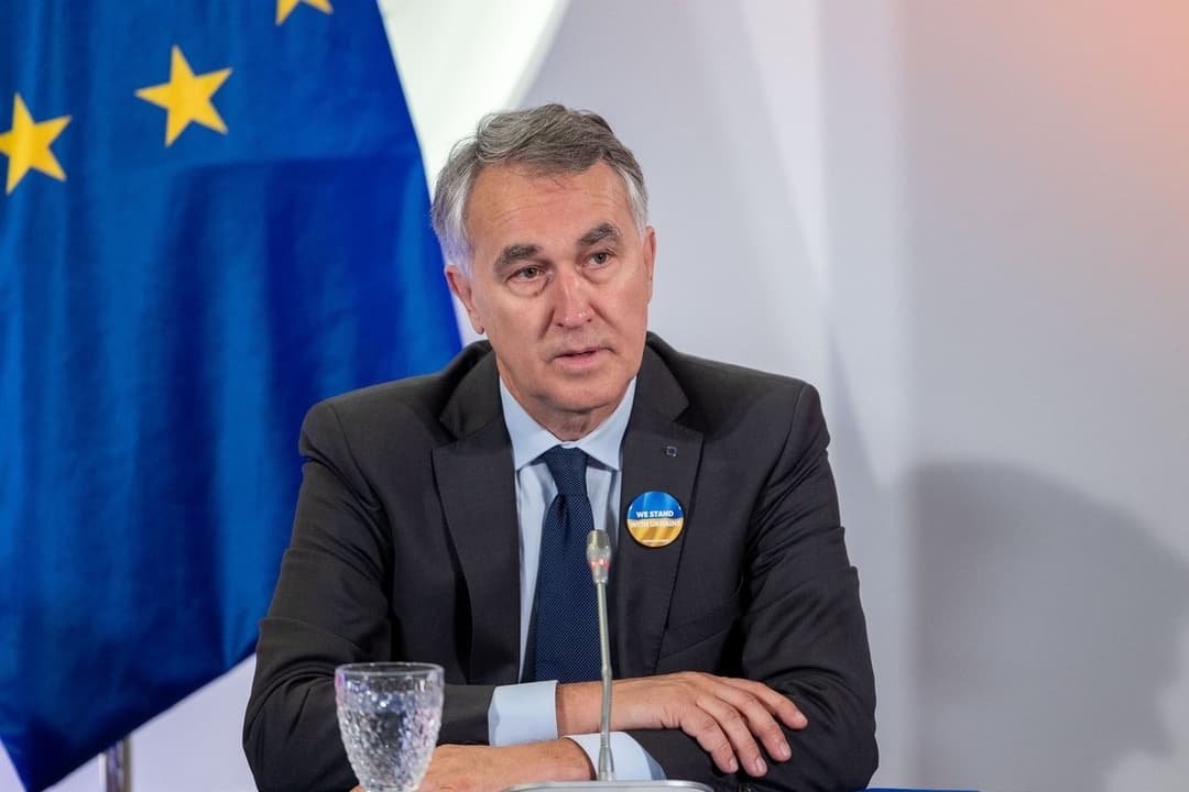 MEP Auštrevičius slams arrest of Georgian opposition leader as “shameful political persecution”