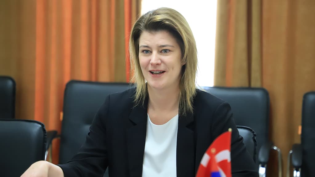 Danish Ambassador condemns Georgia's democratic backsliding, urges EU action