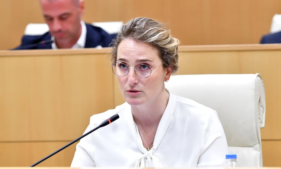 მარიამ ლაშხი - 17 მაისს, ოჯახის სიწმინდისა და მშობლების პატივისცემის დღეს, ჩემს მცირეწლოვან შვილებთან და დედასთან ერთად ვიმყოფებოდი, როდესაც რადიკალური აქტივისტები თავს დაგვესხნენ