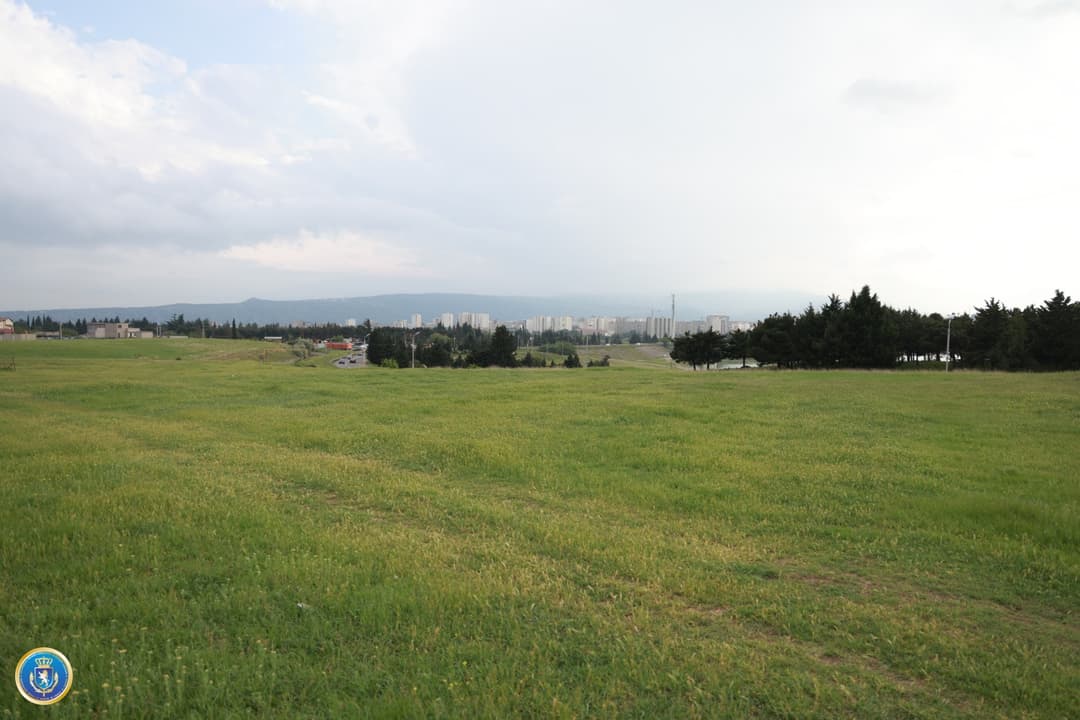 დიდი ოდენობით მიწის ნაკვეთების თაღლითურად დაუფლების ფაქტზე ერთი პირი დააკავეს