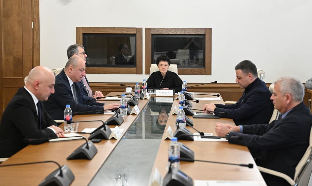 პარლამენტის დროებითმა საგამოძიებო კომისიამ უფლებების შელახვის ფაქტებთან დაკავშირებული საქმეები განიხილა