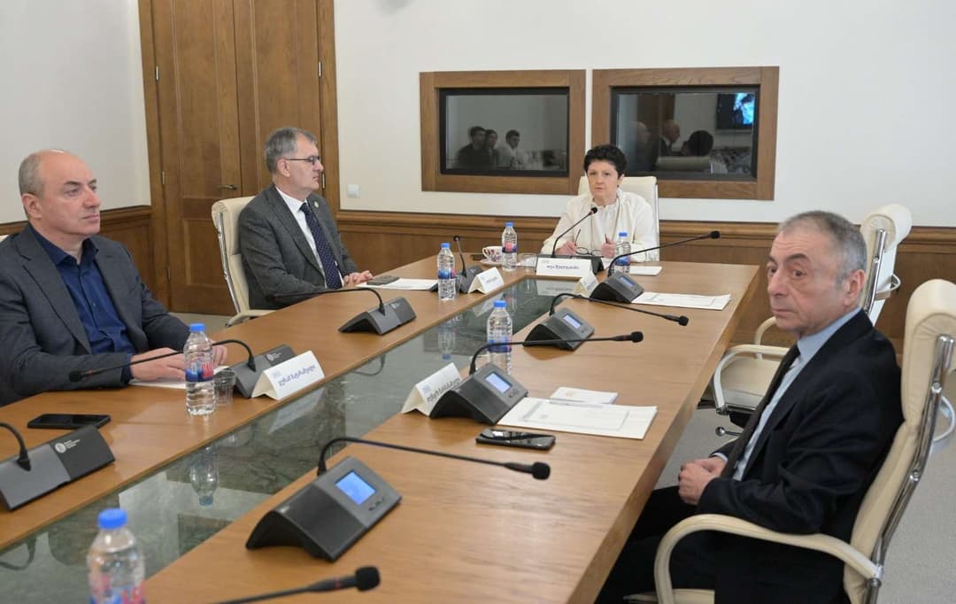 თეა წულუკიანი - გადავწყვიტეთ მივმართოთ პარლამენტის ბიუროს,  დღის წესრიგში შეიტანოს საკითხი კომისიისთვის უფლებამოსილების ვადის ერთი თვით გაგრძელების თაობაზე