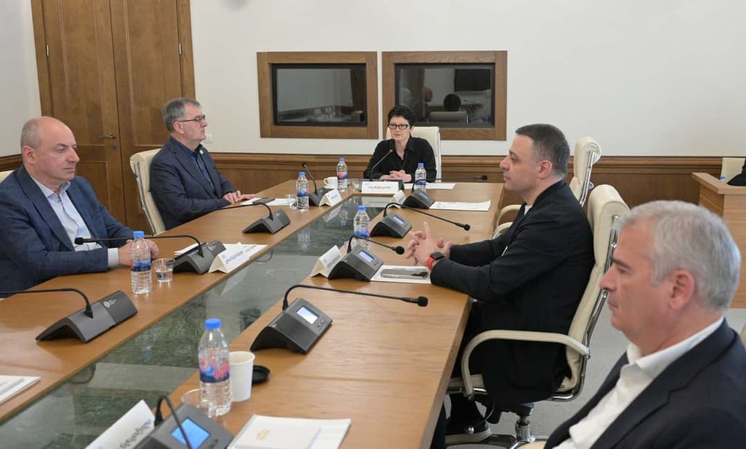 პარლამენტის დროებითმა საგამოძიებო კომისიამ დიმიტრი სანაკოევი გამოჰკითხა