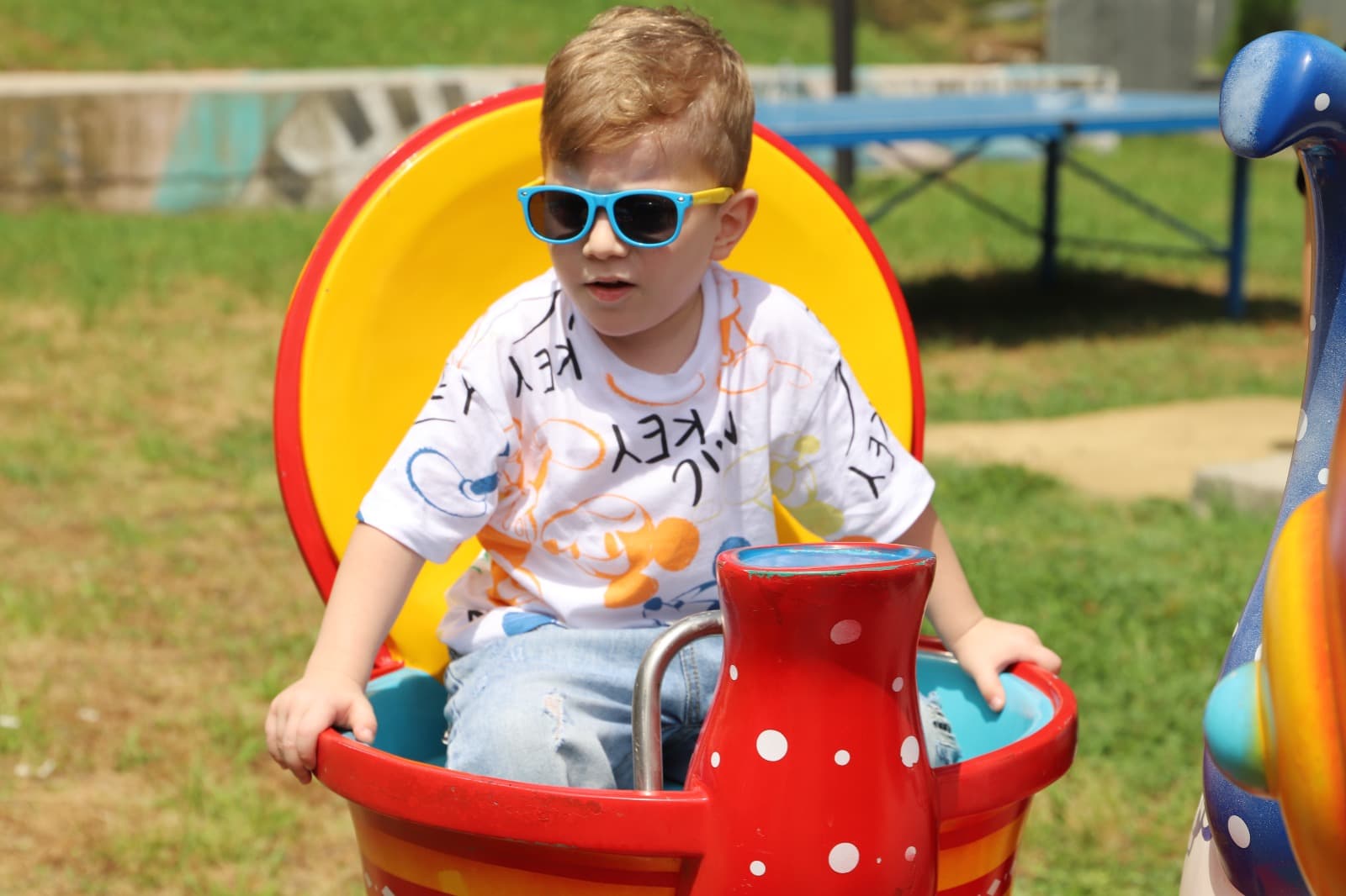 <p style="text-align: justify">თერჯოლაში ბავშვთა დაცვის საერთაშორისო დღესთან დაკავშირებით, სხვადასხვა გასართობი და შემეცნებითი ღონისძიება ჩატარდა.</p><p style="text-align: justify">მუნიციპალიტეტის მერიის ორგანიზებით, ლაშა გოგიაშვილის სახელობის სკვერში მოეწყო ბავშვთა გასართობი სივრცე, მრავალფეროვანი ატრაქციონებით - გასაბერი და სპორტული ბატუტი, ცხენების კარუსელი, მუსიკალური ჩაიდანის, ჰოკეის, აიწონას, ყვავილის და კალათბურთის აპარატები. &nbsp;</p><p style="text-align: justify">ა(ა)იპ თერჯოლის მოსწავლე ახალგაზრდობის მუნიციპალურ ცენტრმა წარმოადგინა &nbsp;მხატვრული ღონისძიება. ღონისძიებაში მოსწავლე ახალგაზრდობის სახლში არსებული ადგილობრივი ქორეოგრაფიული ანსამბლები და ინდივიდუალური შემსრულებლები მონაწილეობდნენ. მოეწყო ხელნაკეთი ნივთების გამოფენა, სახალისო ვიქტორინა.</p><p style="text-align: justify">ღონისძიებას თერჯოლის მუნიციპალიტეტის მერი მანუჩარ რობაქიძე, მერის მოადგილეები ზვიად ბაზაძე და &nbsp;მირზა ქოჩიაშვილი, საკრებულოს თავმჯდომარე გიორგი ბარათაშვილი და ადგილობრივი თვითმმართველობის წარმომადგენლები ესწრებოდნენ.</p><p style="text-align: justify">ხელმძღვანელმა პირებმა ბავშვებს 1 ივნისის დღესასწაული მიულოცეს და წარმატებები უსურვეს. 1 ივნისთან დაკავშირებით, მერიისგან ბავშვებს სიურპრიზად ნაყინები დაურიგდათ.</p>