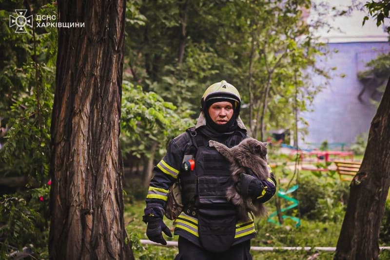 <p style="text-align: justify">7 ივნისის ღამეს რუსმა ოკუპანტებმა ხარკოვზე მთელი სრულმასშტაბიანი ომის განმავლობაში ყველაზე ძლიერი თავდასხმა განახორციელეს. დაბომბვამ ხანძარი გამოიწვია, არის მსხვერპლი და ნგრევა.</p><p style="text-align: justify">"წინასწარი მონაცემებით, ხარკოვის ტერორისტული დაბომბვის შედეგად, ამ წუთის მონაცემებით, ზიანი მიადგა 18 საცხოვრებელ კორპუსს (სამი მათგანის კონსტრუქცია დაზიანდა) და 13 კერძო სახლი“, - წერს ქალაქის მერი იგორ ტერეხოვი.</p><p style="text-align: justify">ხარკოვის რეგიონული სამხედრო ადმინისტრაციის ხელმძღვანელის ოლეგ სინეგუბოვის ინფორმაციით, სამოქალაქო საწარმოს ტერიტორიაზე 40 უპილოტო საფრენი აპარატის, 4 KAB-ის და 1 რაკეტის დაცემის შედეგად, 10,000 კვადრატული მეტრის ფართობზე ხანძარი გაჩნდა.</p><p style="text-align: justify">"დარტყმები ოთხი სახელოსნოს შენობაზე დაფიქსირდა. შესაძლოა, ნანგრევების ქვეშ ადამიანები იყვნენ“, - წერს სინეგუბოვი.</p><p style="text-align: justify">წინასწარი მონაცემებით, რუსების თავდასხმის შედეგად სამი ადამიანი დაიღუპა, 17 დაშავდა, მათ შორის ორი ბავშვი - 14 წლის გოგონა და 1,5 თვის ჩვილი.</p><p>&nbsp;</p>