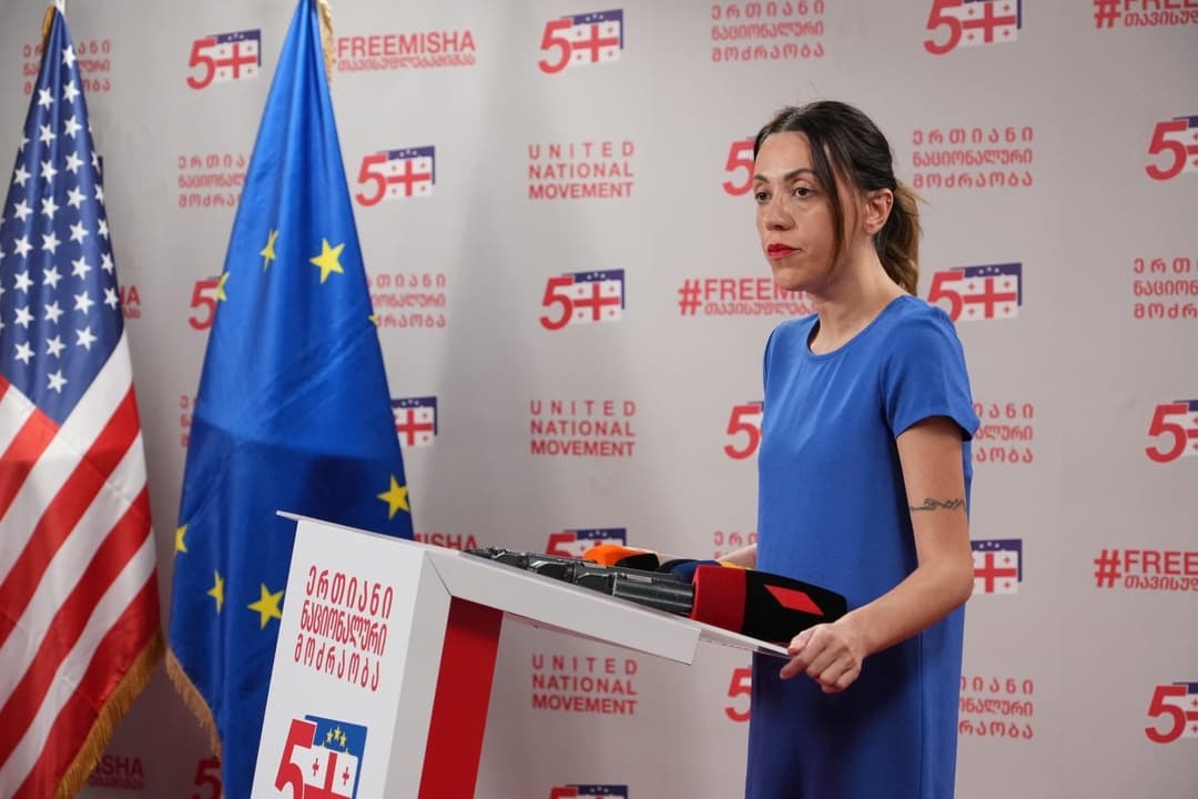 ანა წითლიძე - 14 საგუშაგო დახურეს, ამიტომაც, ამ ხელისუფლების პოლიტიკური პასუხისმგებლობა, მათ შორის ამ საკითხზეც უნდა დადგეს