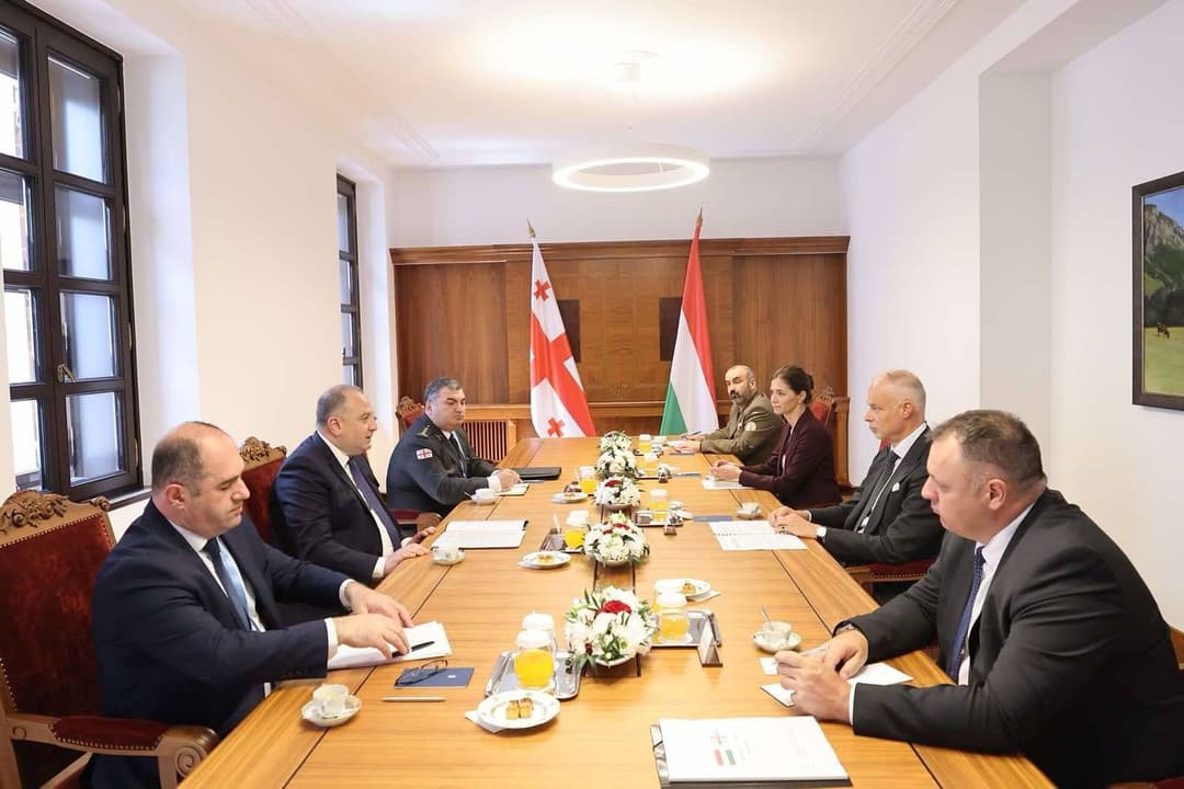 ირაკლი ჩიქოვანმა საქართველო-უნგრეთის მთავრობათაშორისი კომისიის მე-2 სხდომაში მიიღო მონაწილეობა