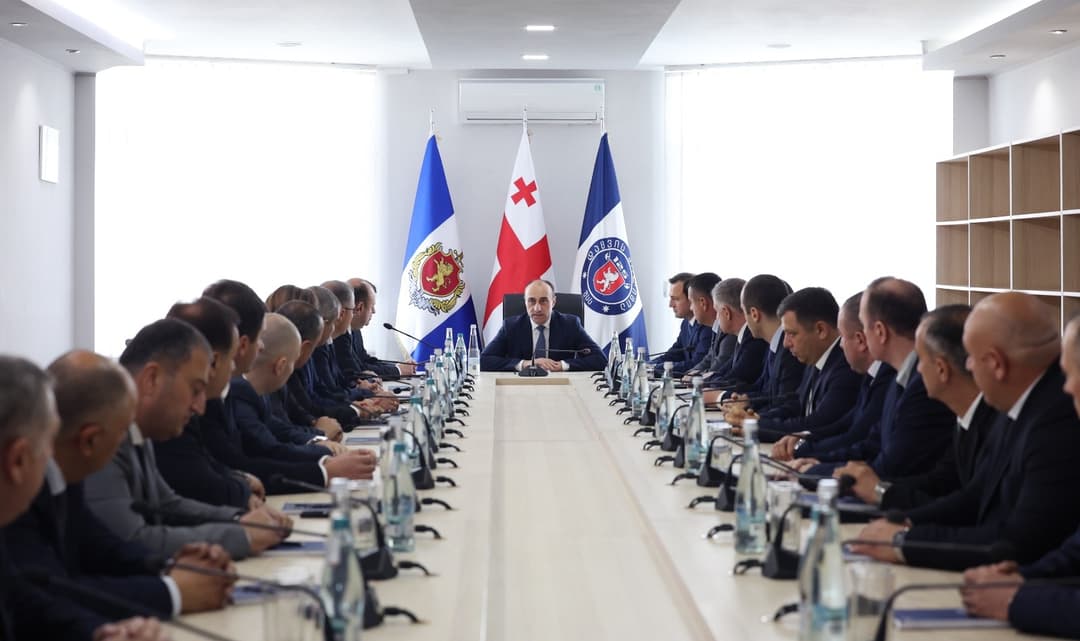 გეკა გელაძემ დაცვის პოლიციის დეპარტამენტში შეხვედრა გამართა