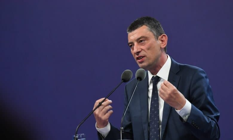 Ex-PM Gakharia’s party accuses parliamentary commission of politically motivated refusal to allow remote testimony