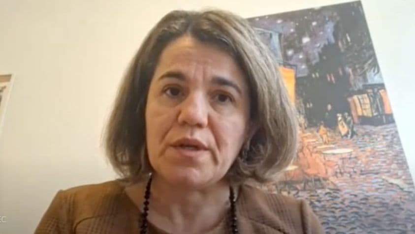 თამარ გუგულაშვილი - ძალიან სერიოზული გაფრთხილებები ისმის ევროკავშირიდან და განსაკუთრებით ევროპარლამენტიდან