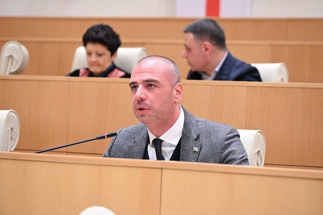 ლევან მაჭავარიანი - როდესაც ევროპარლამენტარი ბრალდებას გვიყენებს, კეთილი ინებოს და მტკიცებულება დადოს