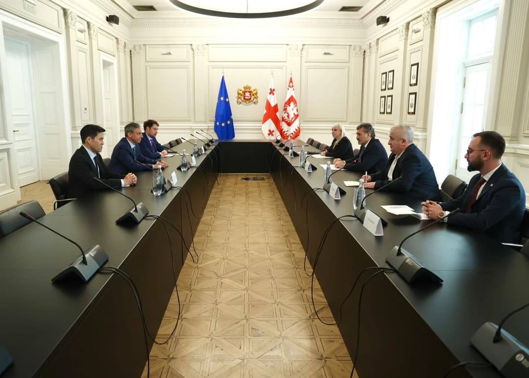 მიხეილ ყაველაშვილი საერთაშორისო სავალუტო ფონდის (IMF) მისიის ხელმძღვანელს შეხვდა