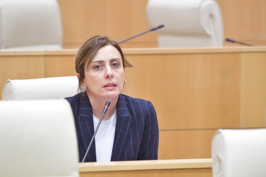 ხატია დეკანოიძე - ქართულმა სახელმწიფომ წარმოუდგენელ ავტოკრატიულ ჭაობში გადაინაცვლა