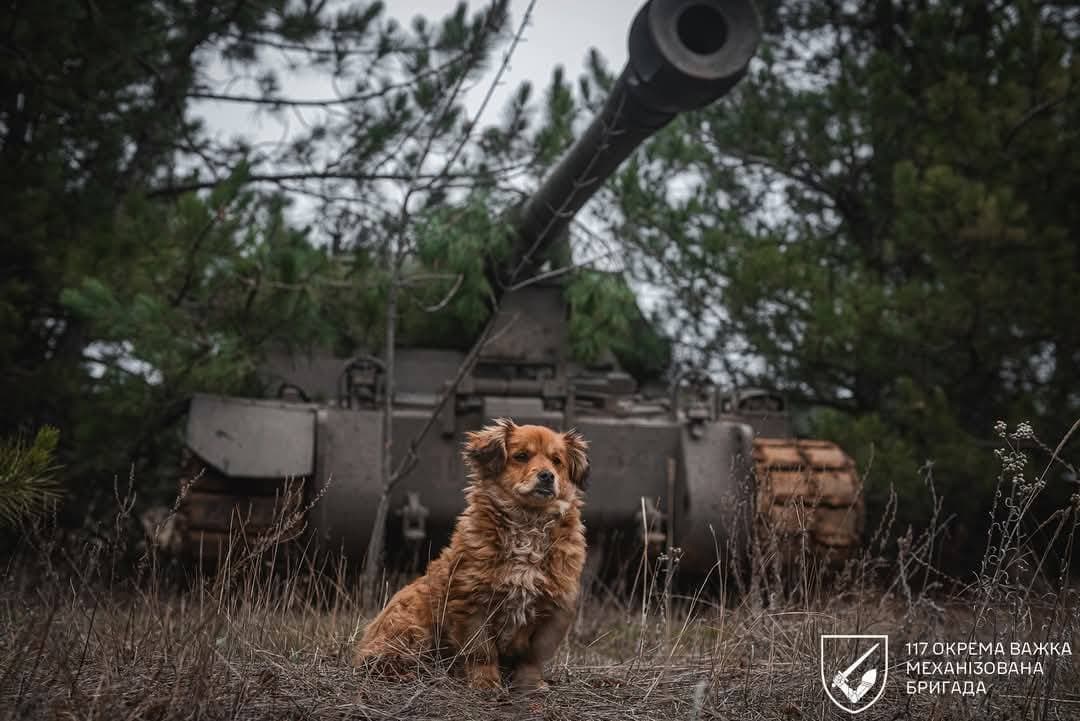 Ukraine's military also said Russian forces have suffered significant equipment losses throughout the 28-month-long conflict.