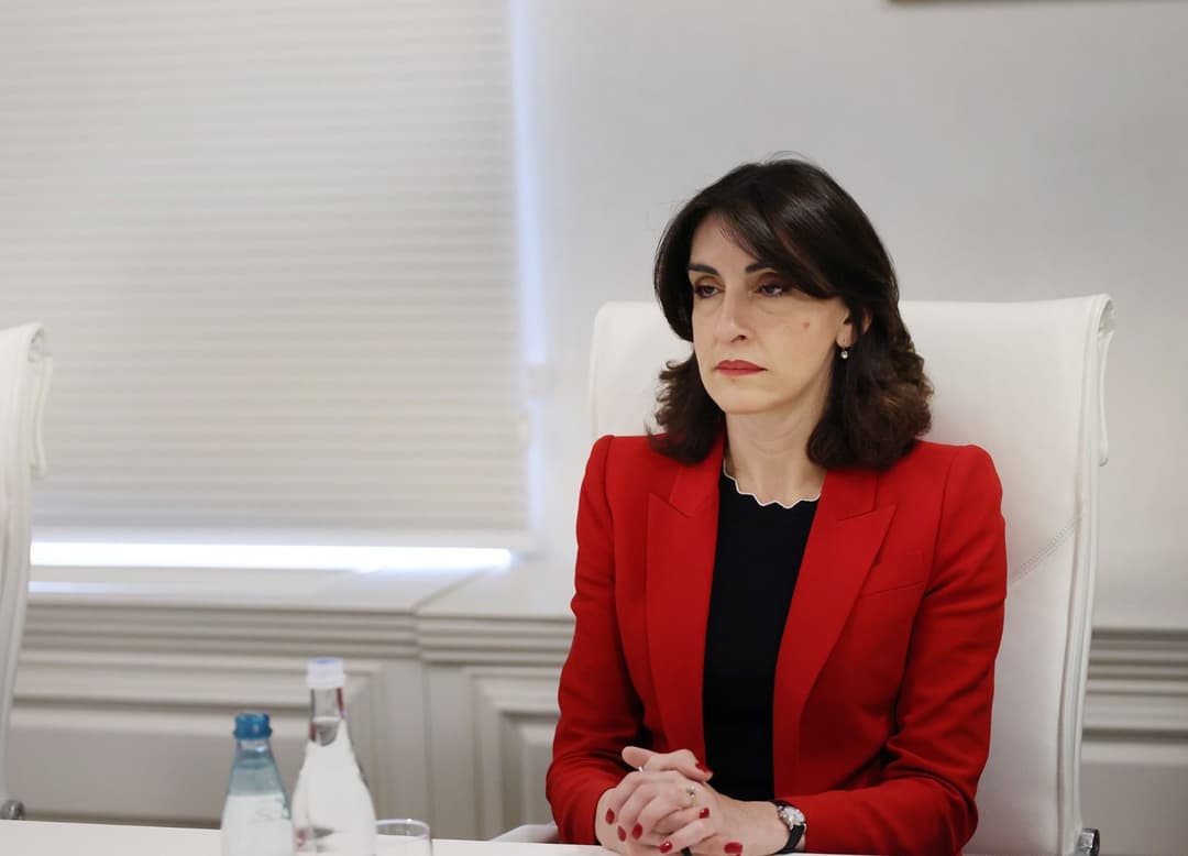 მაკა ბოჭორიშვილი - სამწუხაროა, როდესაც ხედავ, რომ შენივე კოლეგები, რომლებსაც ასევე ჰქვიათ ქართველი პოლიტიკოსები, გამალებით არიან სახელმწიფოს წინააღმდეგ ბრძოლაში ჩართული