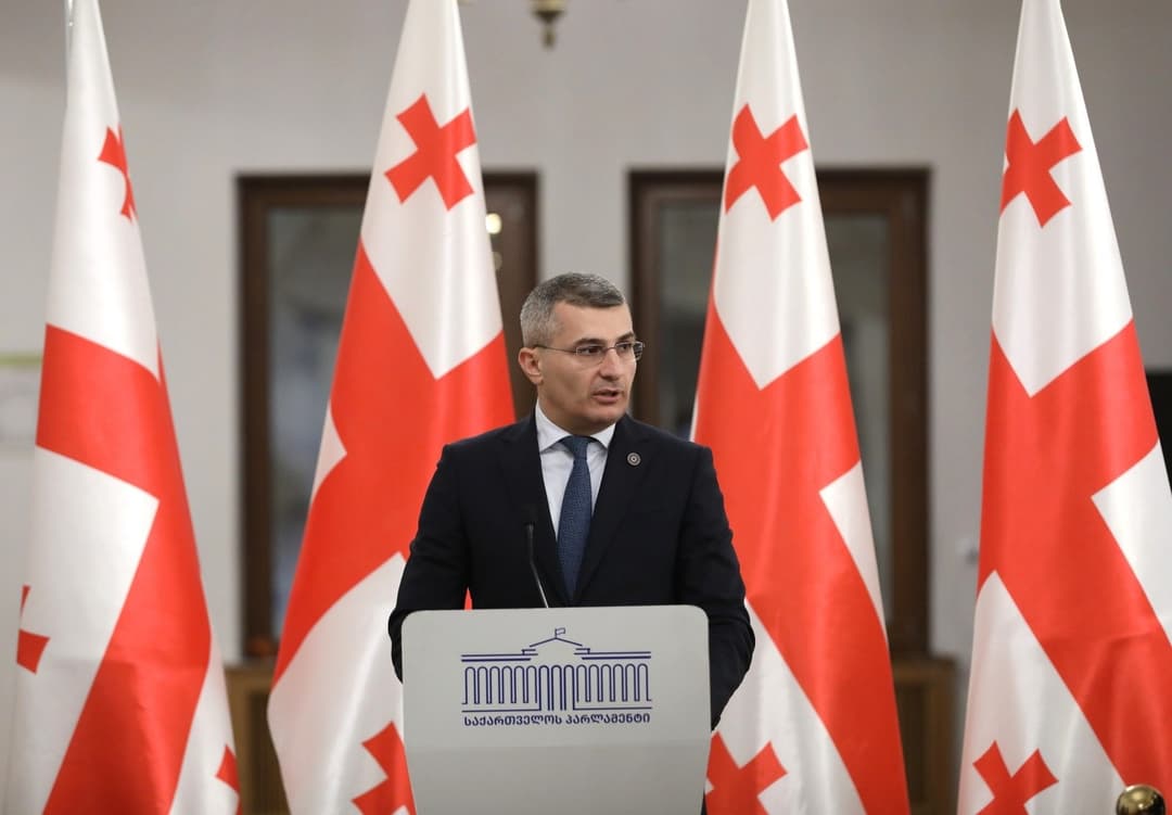 მამუკა მდინარაძე - ნურავის ექნება იმედი, რომ კორუფციაში ჩაერთვება, ფულს გაათეთრებს, სახელმწიფოს ან კერძო პირს დააზიანებს და ეს ფული შერჩება