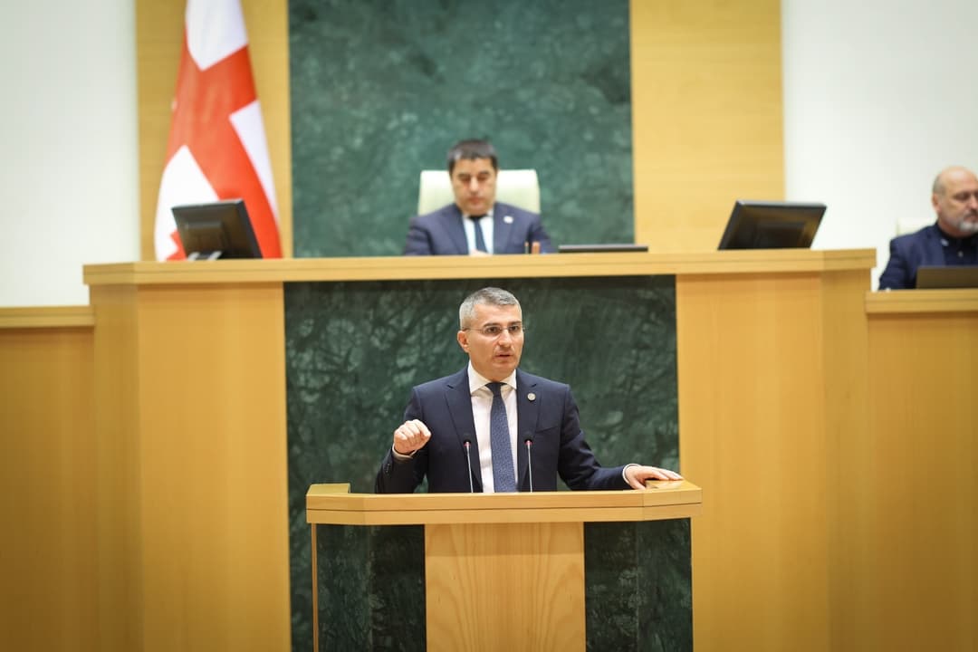 მამუკა მდინარაძე - პარლამენტის ტრიბუნიდან პასუხისმგებლობიანი პოლიტიკოსის და ლიდერის ხედვა მოვისმინეთ