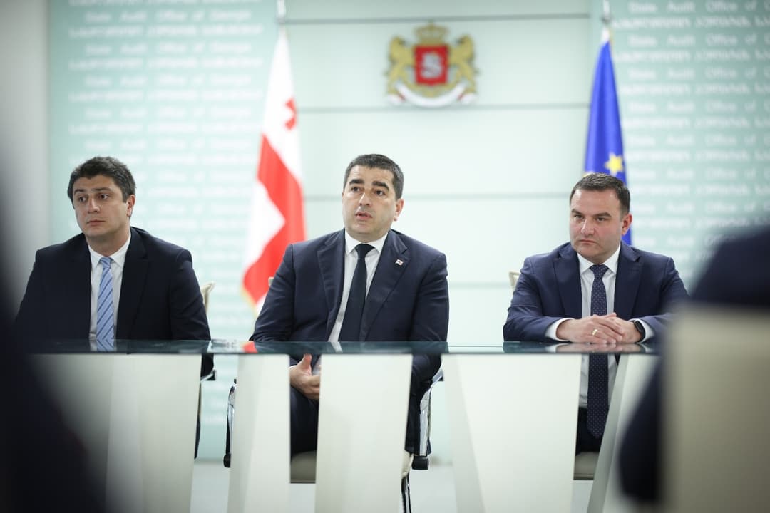 შალვა პაპუაშვილმა სახელმწიფო აუდიტის სამსახურის თანამშრომლებს გენერალური აუდიტორი გიორგი გაბიტაშვილი წარუდგინა
