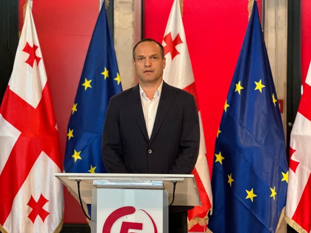 პეტრე ცისკარიშვილი - გვაბრუნებენ ისევ სავიზო რეჟიმის ხანაში და აქ პრობლემა არის საქართველოს მომავალში