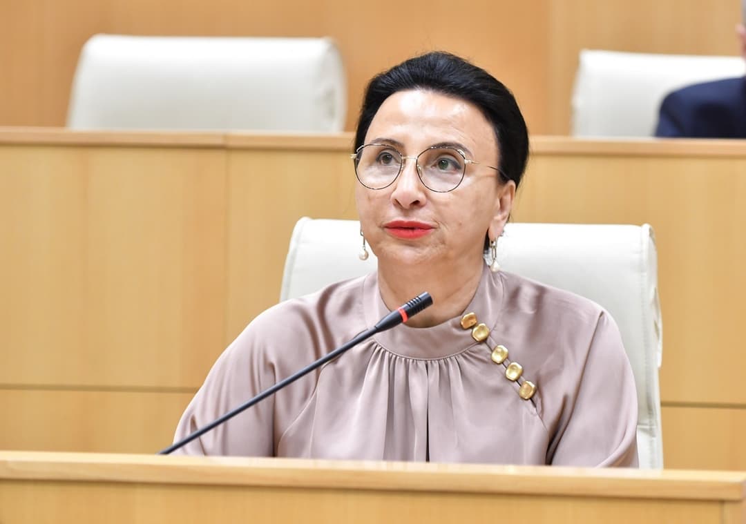 რიმა ბერაძე - მიიღებს თუ არა ე.წ. ოპოზიცია არჩევნებში მონაწილეობას, ეს ხელისუფლებისთვის დიდი მნიშვნელობის მქონე არ არის