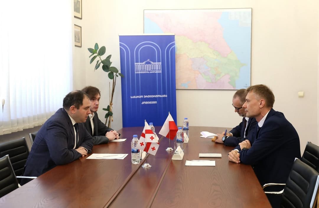 ნიკოლოზ სამხარაძე პოლონეთის დიპლომატიური მისიის ხელმძღვანელს შეხვდა