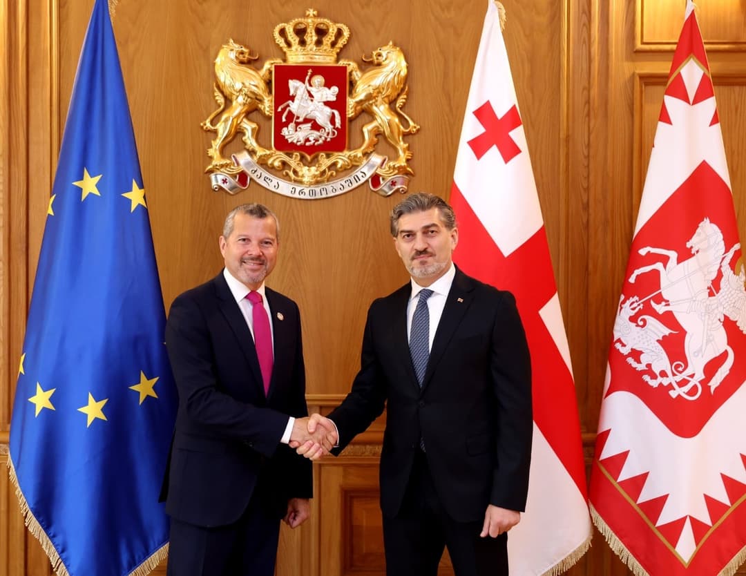 მიხეილ ყაველაშვილი საერთაშორისო საზღვაო ორგანიზაციის გენერალურ მდივანს არსენიო დომინგესს შეხვდა