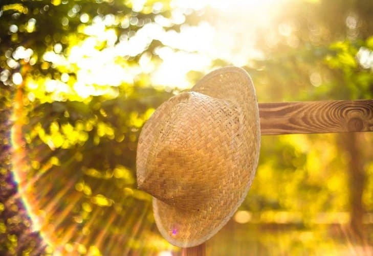 27-31 ივლისს მოსალოდნელი ამინდი საქართველოში