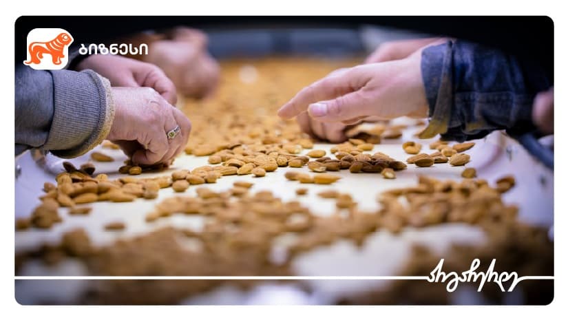 "საქართველოს ბანკის" მხარდაჭერით, ფარმინგ ქონსთრაქშენმა ნუშის გადამმუშავებელი ქარხანა ააშენა